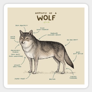 Anatomy of a Wolf Magnet